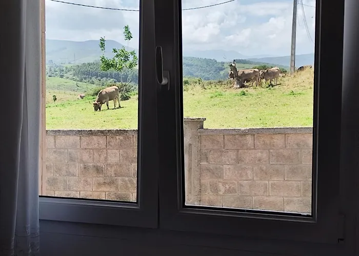 Hotel barato: Fuente el Hayedo